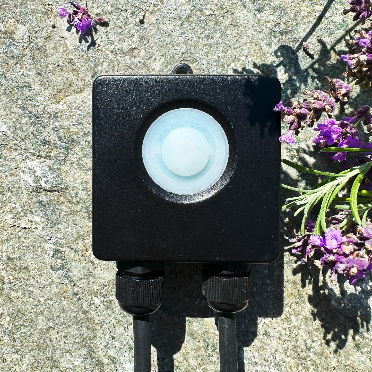 Smart Control - WiFi-styrning & dimmer - 12 V Plug & Play