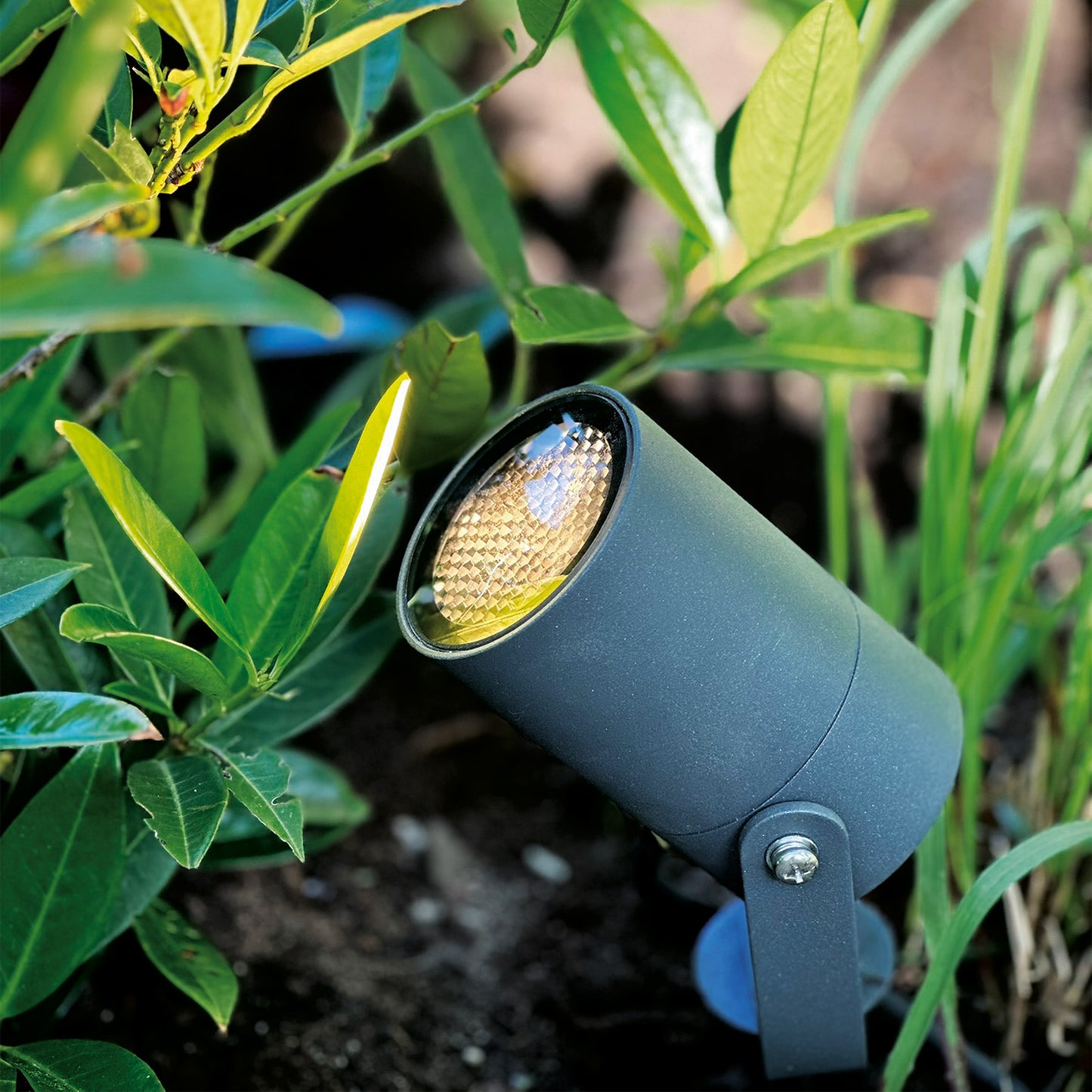 Luna markspot Start – 12 V Plug & Play, 2‑pack med transformator och grenkabel