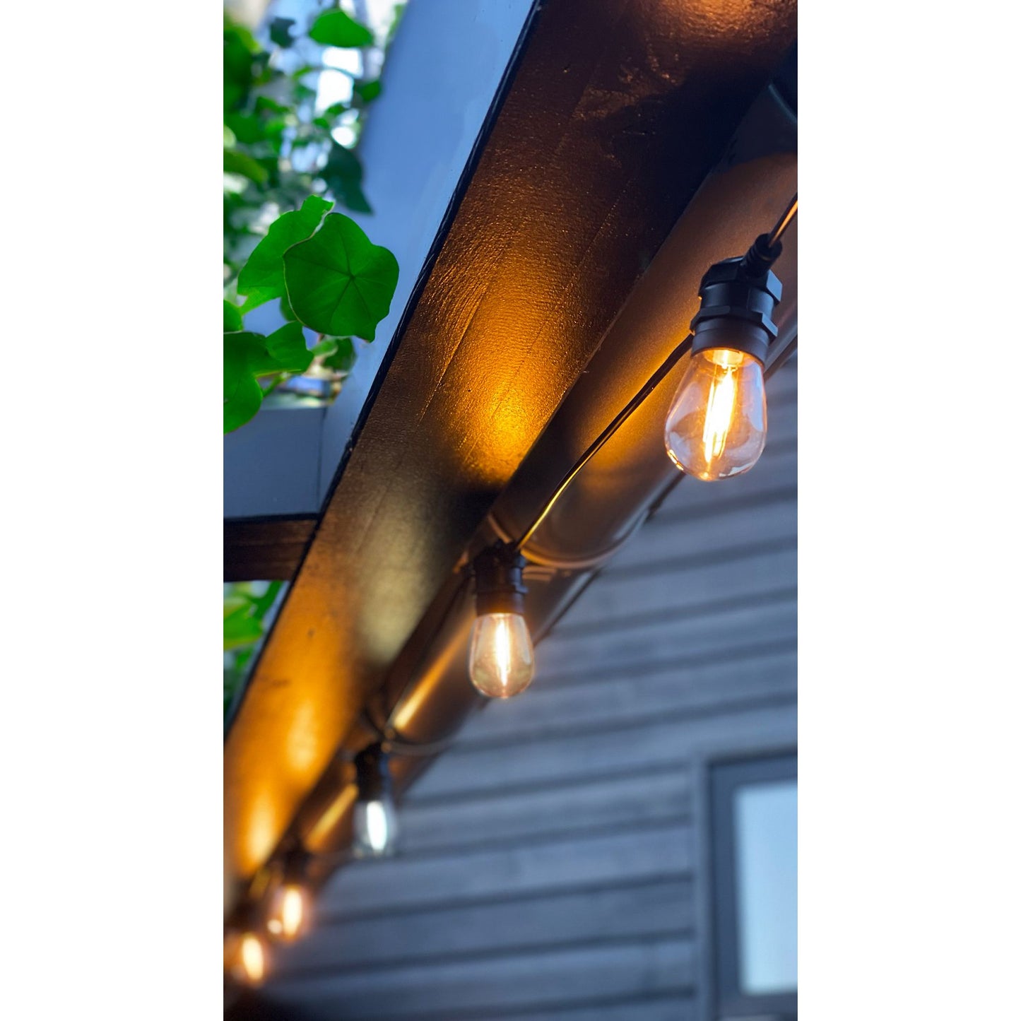 Cosy ljusslinga Start – 12 V Plug & Play med transformator och dimmer
