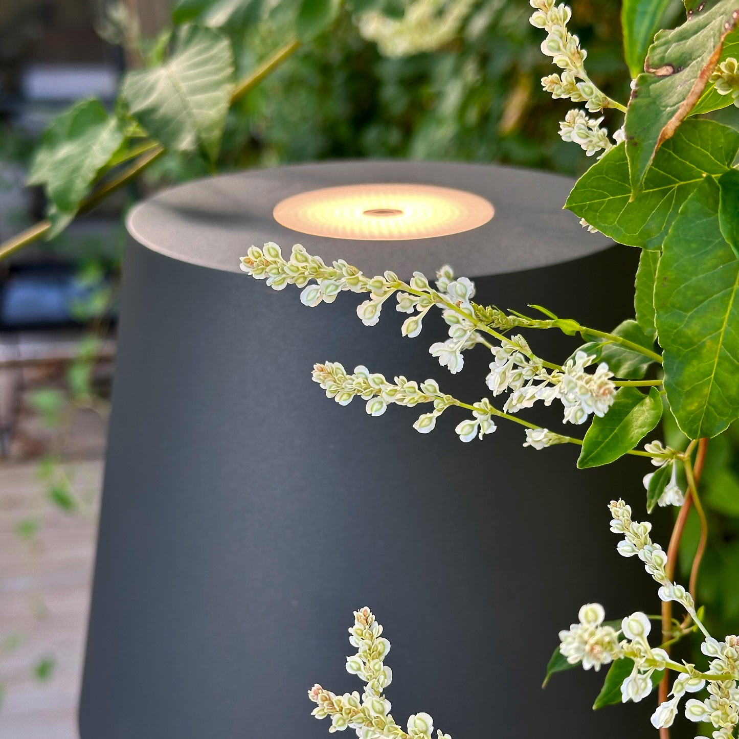 Sofy stålampa – Grå 12 V Plug & Play