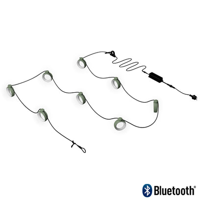 Hoopik utomhus lampslinga cactus